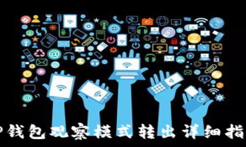   
TP钱包观察模式转出详细指南