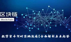 数字货币何时落地流通？全面解析未来趋势