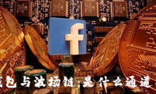   
深度解析TP钱包与波场链：是什么通道及其应用前景