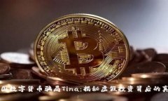 法国数字货币骗局Tina：揭秘虚假投资背后的真相