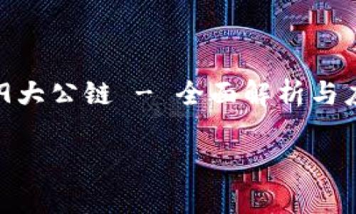 

    TP钱包的19大公链 - 全面解析与应用指南



TP钱包的19大公链解析：多元化数字资产管理的最佳选择