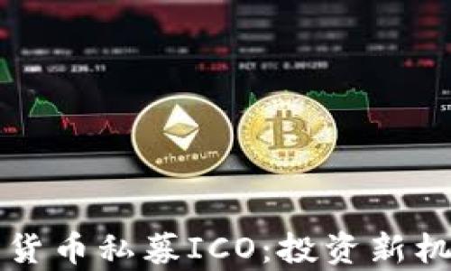 
深入探讨数字货币私募ICO：投资新机遇与风险解析