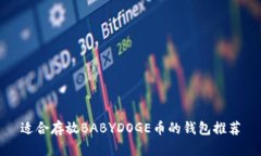 适合存放BABYDOGE币的钱包推荐