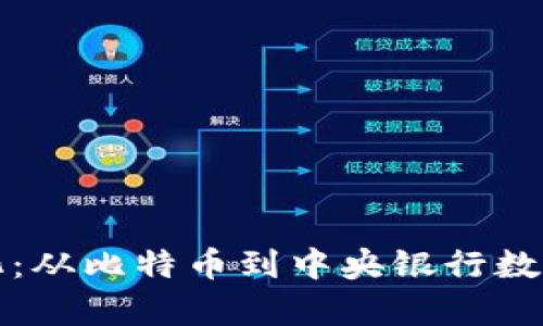 数字货币的多样化：从比特币到中央银行数字货币的全景分析
