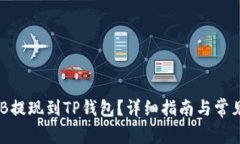 如何将BNB提现到TP钱包？详细指南与常见问题解答