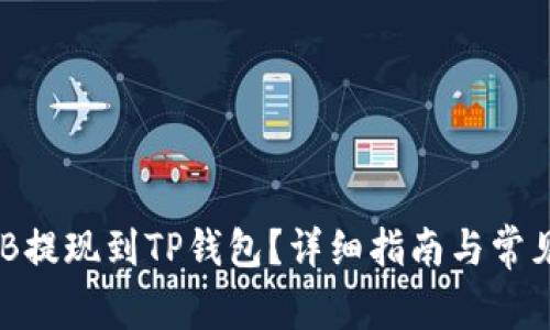 如何将BNB提现到TP钱包？详细指南与常见问题解答