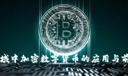 商业领域中加密数字货币的应用与前景分析