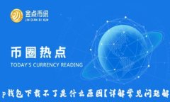  t p钱包下载不了是什么原因？详解常见问题解析
