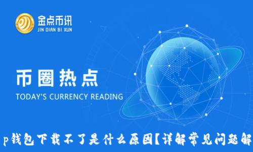  
t p钱包下载不了是什么原因？详解常见问题解析