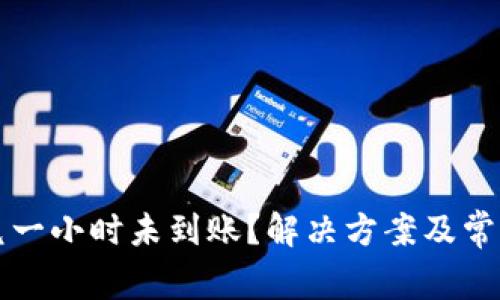 TP钱包闪兑一小时未到账？解决方案及常见问题解析