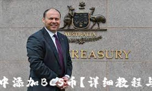 
如何在TP钱包中添加BCS币？详细教程与常见问题解答