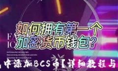 如何在TP钱包中添加BCS币？详细教程与常见问题解