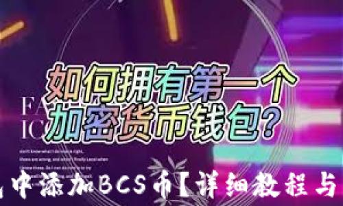 
如何在TP钱包中添加BCS币？详细教程与常见问题解答