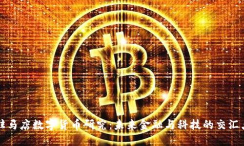 驻马店数字货币研究：未来金融与科技的交汇点