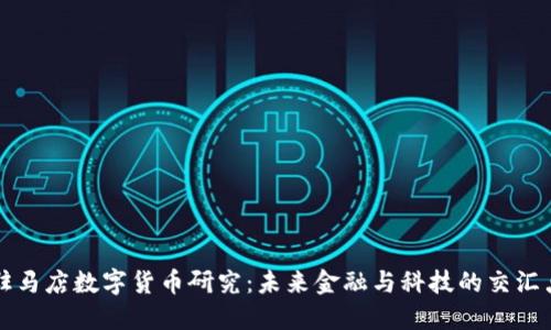 驻马店数字货币研究：未来金融与科技的交汇点