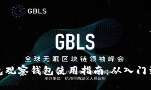 TP钱包观察钱包使用指南：从入门到精通