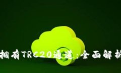 TP钱包是否拥有TRC20通道：全面解析与使用指南