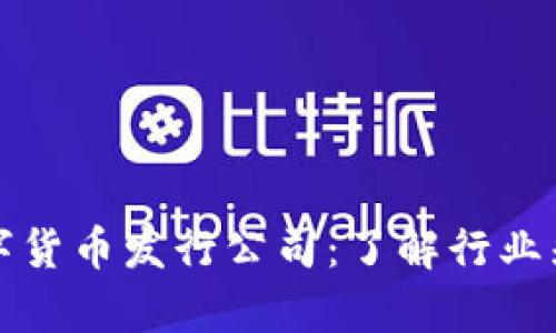 真正的数字货币发行公司：了解行业先锋与趋势