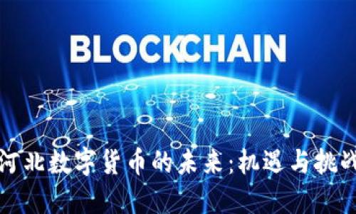 河北数字货币的未来：机遇与挑战