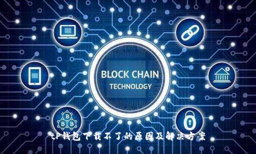 tP钱包下载不了的原因及解决方案