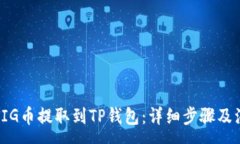 :如何将PIG币提取到TP钱包：详细步骤及注意事项