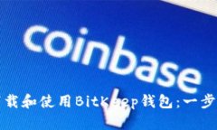 如何下载和使用BitKeep钱包：一步步指南