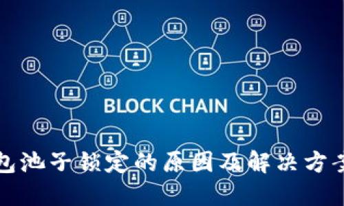 TP钱包池子锁定的原因及解决方案详解