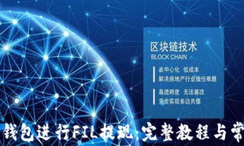 
如何使用TP钱包进行FIL提现：完整教程与常见问题解答