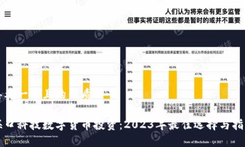 思考一个且的优质

海口科技数字货币投资：2023年最佳选择与指南