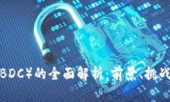 央行数字货币（CBDC）的全面解析：前景、挑战与