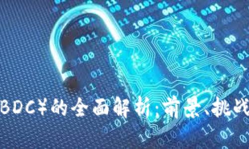 央行数字货币（CBDC）的全面解析：前景、挑战与全球发展趋势