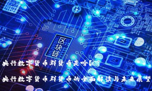 央行数字货币群货币是啥？

央行数字货币群货币的全面解读与未来展望