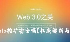 TP钱包Solo挖矿安全吗？权威解析与风险防范