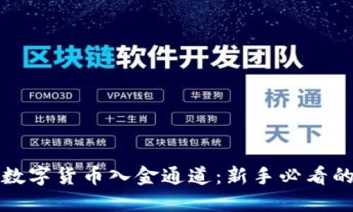 外汇平台数字货币入金通道：新手必看的详细指南