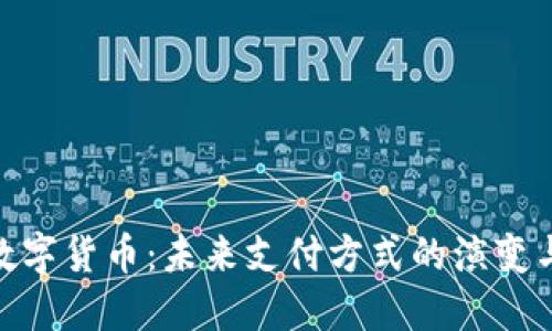 Visa数字货币：未来支付方式的演变与影响