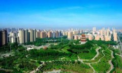 驼鸟数字货币行情分析与投资机会