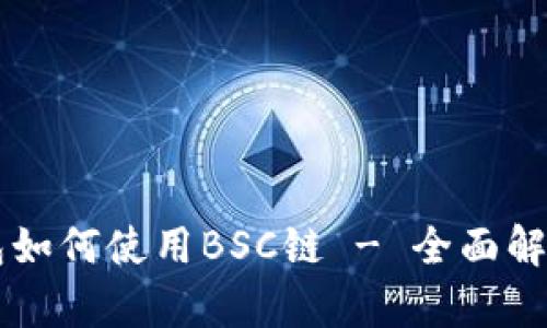 电脑版TP钱包如何使用BSC链 - 全面解析与解决方案