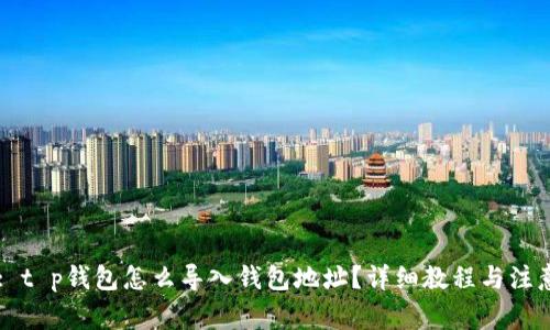 Title: t p钱包怎么导入钱包地址？详细教程与注意事项