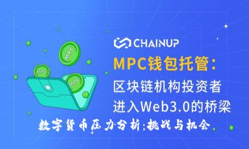 数字货币压力分析：挑战与机会