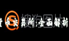 BTCC数字货币交易所：全面解析与用户指南